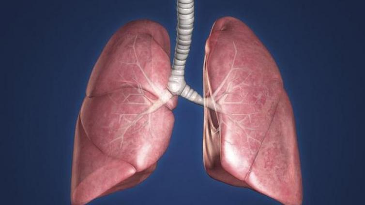 早期微小肺癌的影像学诊断——概述
