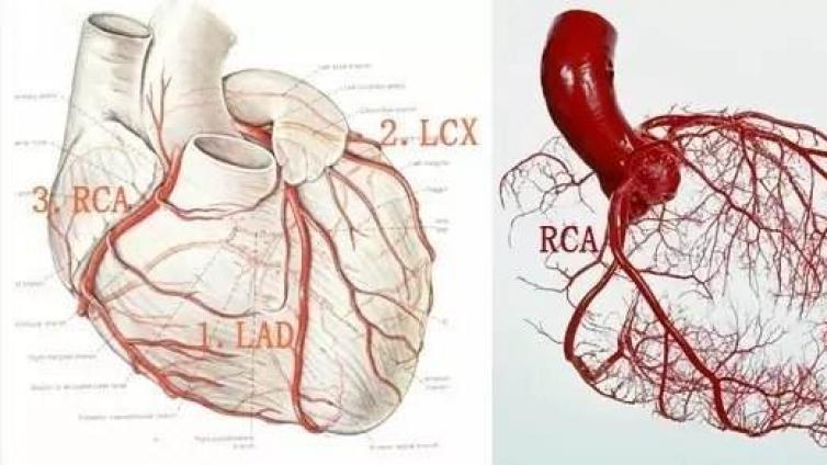 冠脉CTA特殊技术的应用