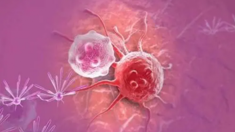 癌细胞扩散新机制发现  有助研发阻止其转移新疗法
