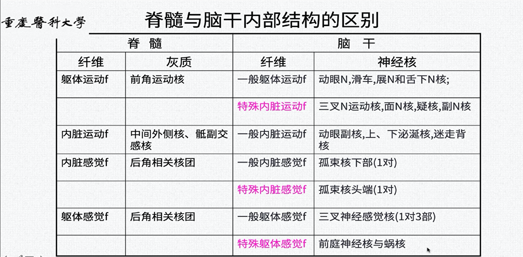 脊髓与脑干内部结构的区别